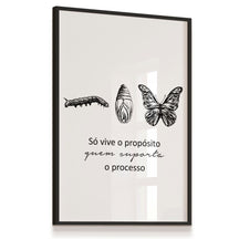 Imagem do Quadro Laminado Borboleta 33x43cm, Preto.